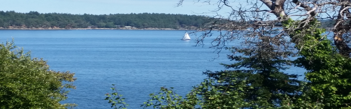 Cedar Nanaimo by the Sea Sailing