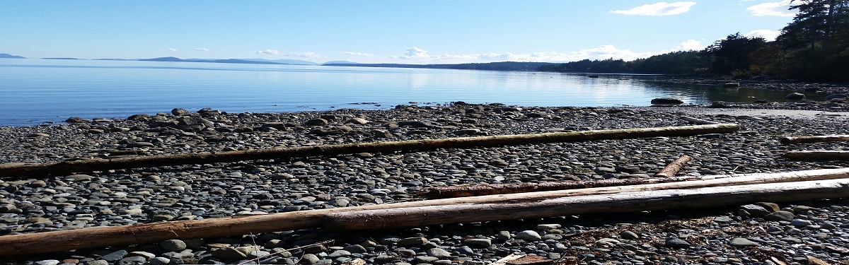 Cedar Nanaimo by the Sea